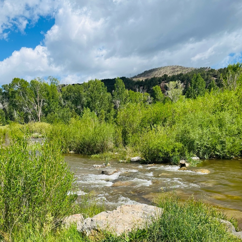 Meet your Posher, Rochelle - Picture 4 of 16